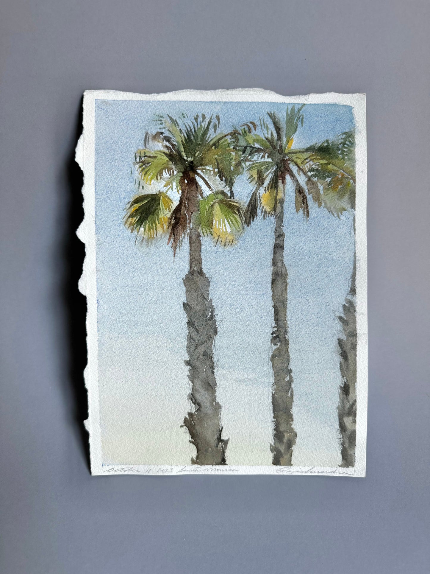 Palm Trees, California