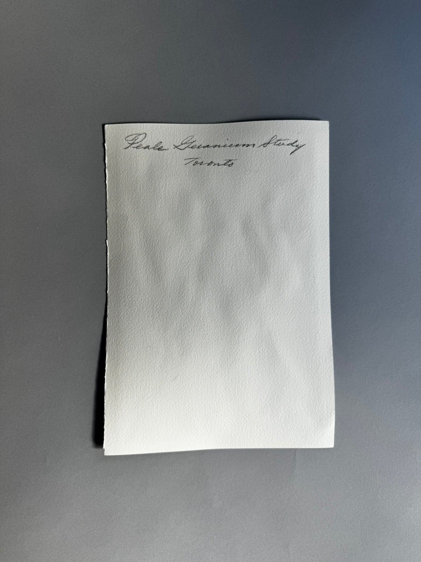 A Study of Geranium Leaves