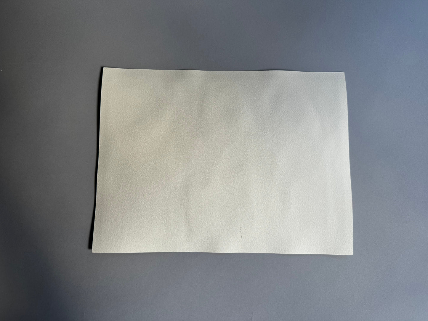 Study at The Cloisters, New York