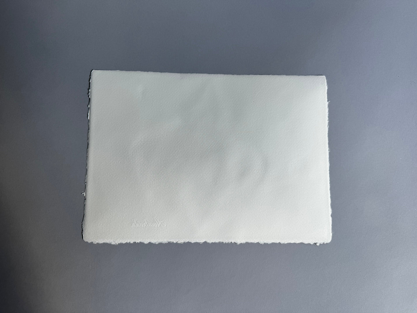 Study of A Bag of Pears, Florence