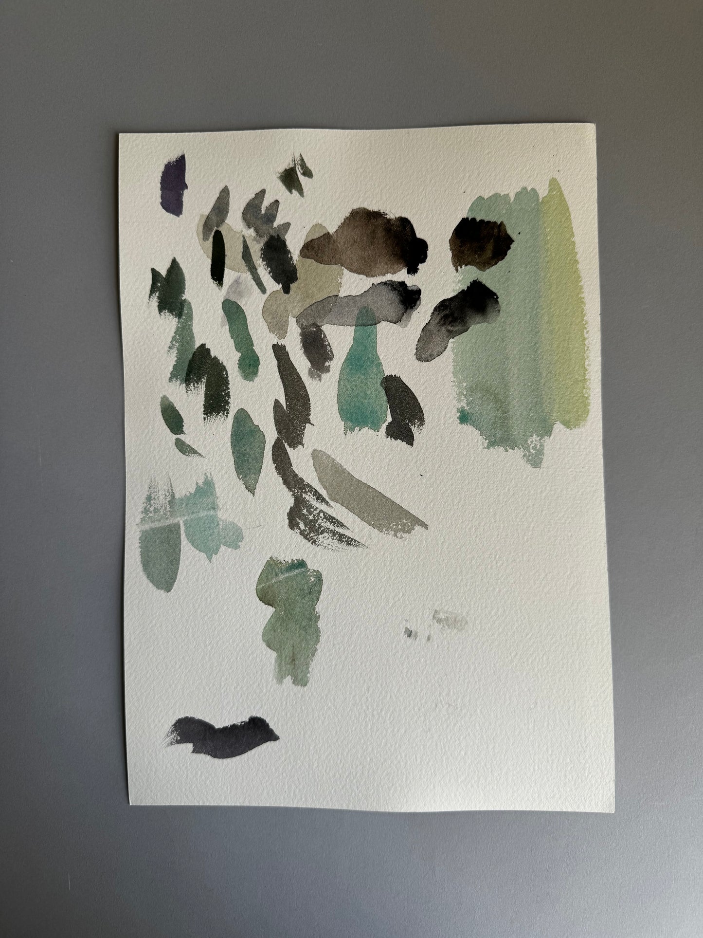Palm Study