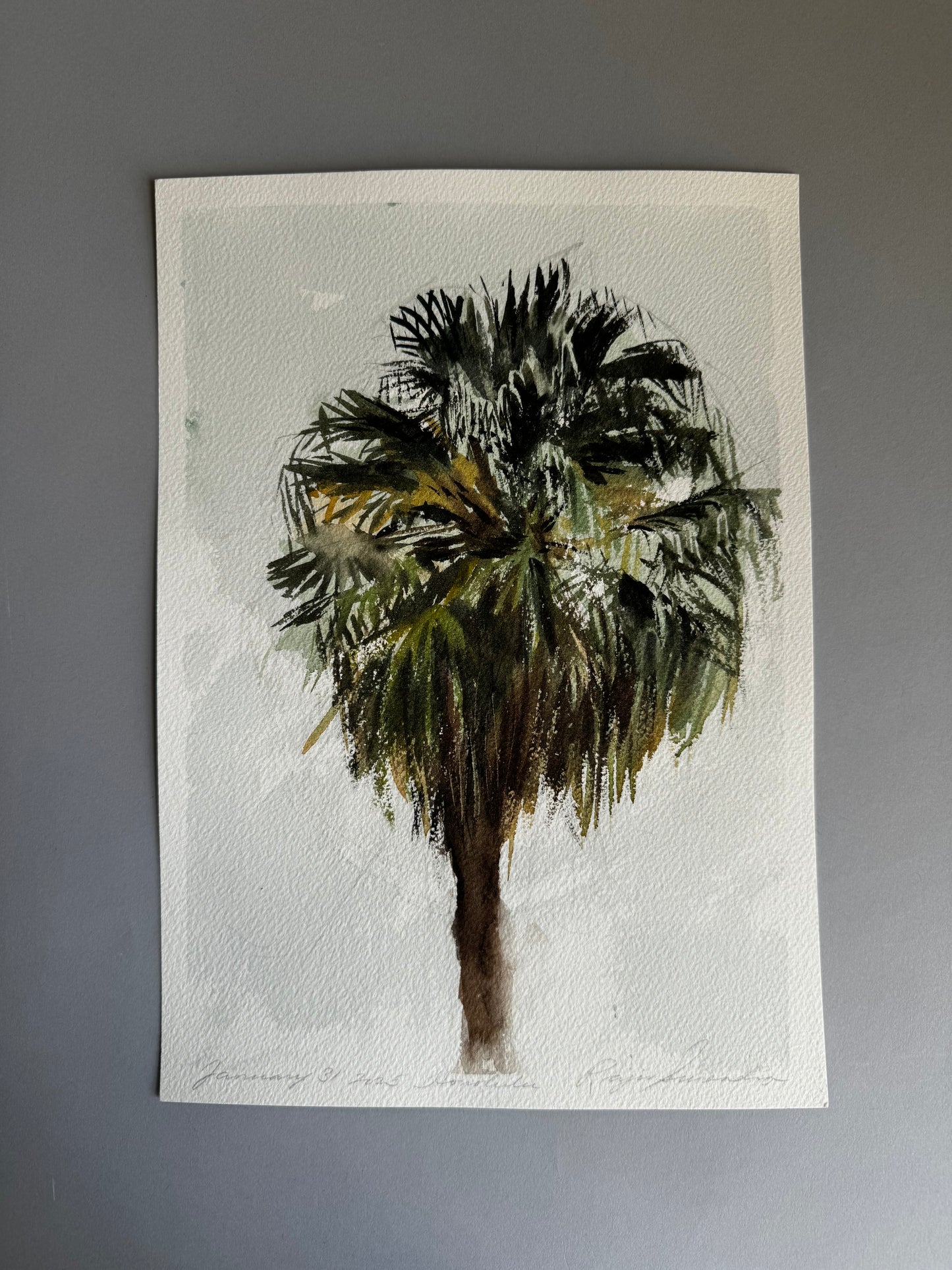 Palm Study