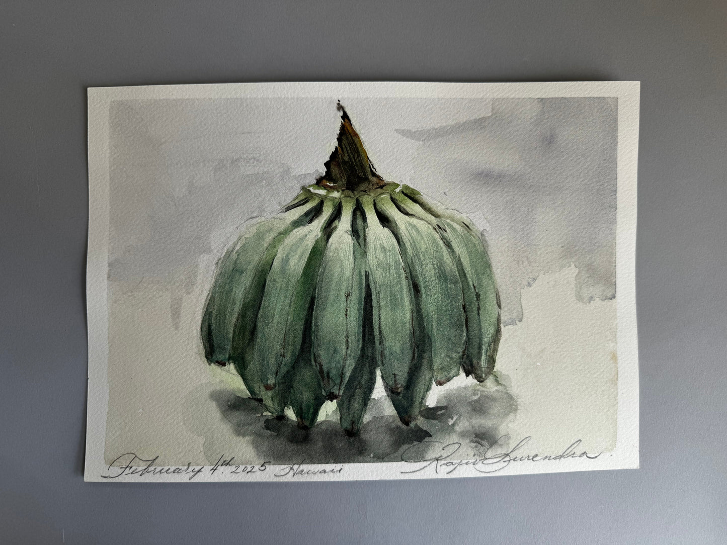 Green Bananas Study 2