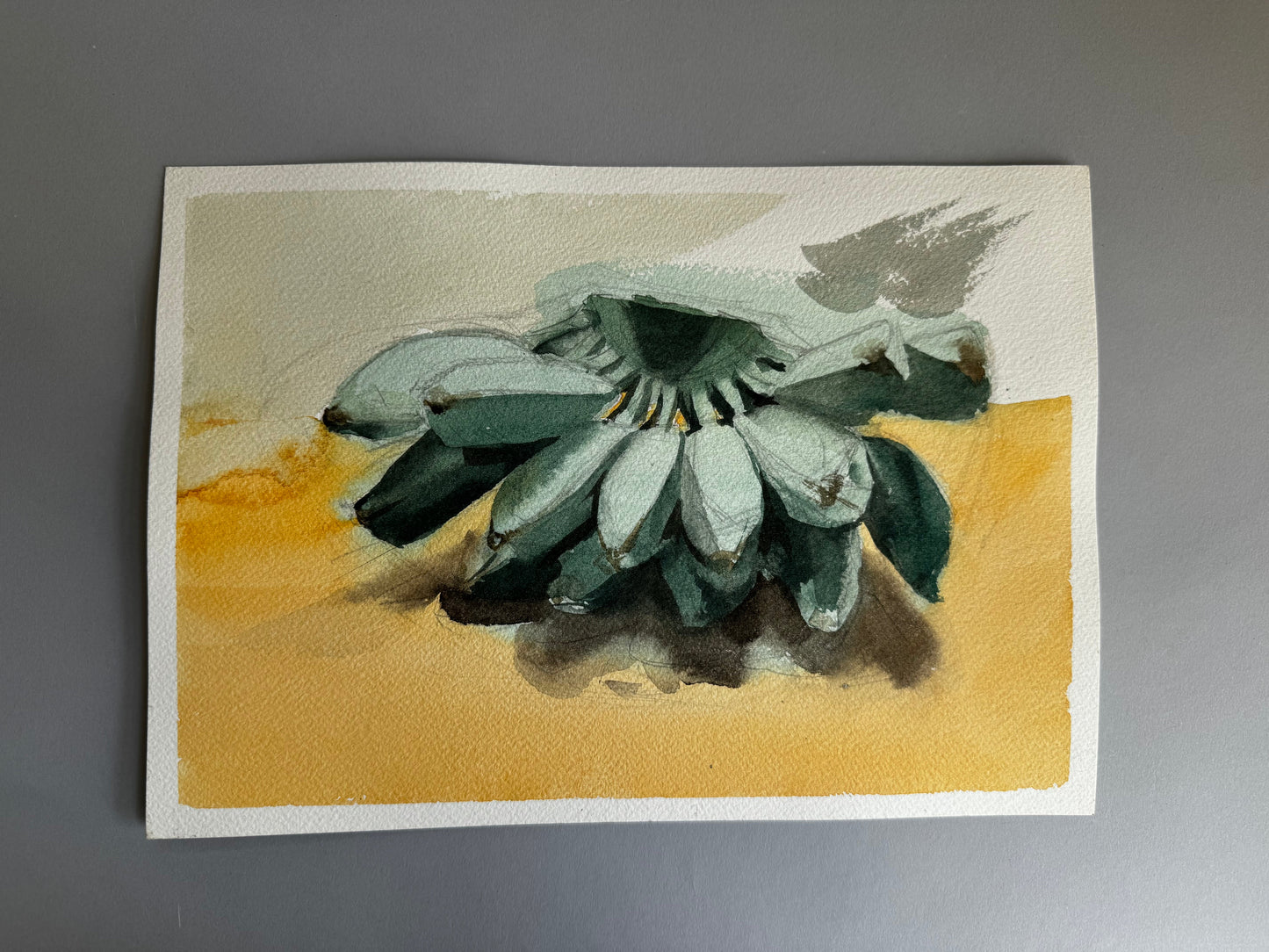 Green Bananas Study 2