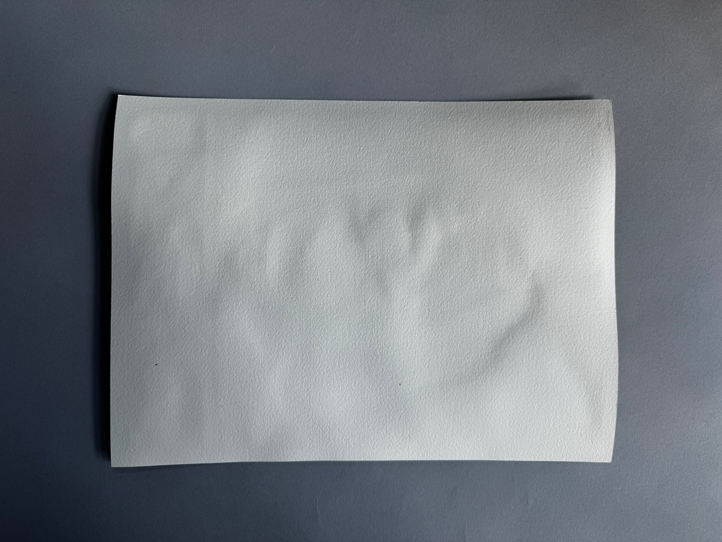 Pears on a Plate Study