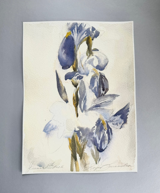 Study of Manet's Irises - with pencil