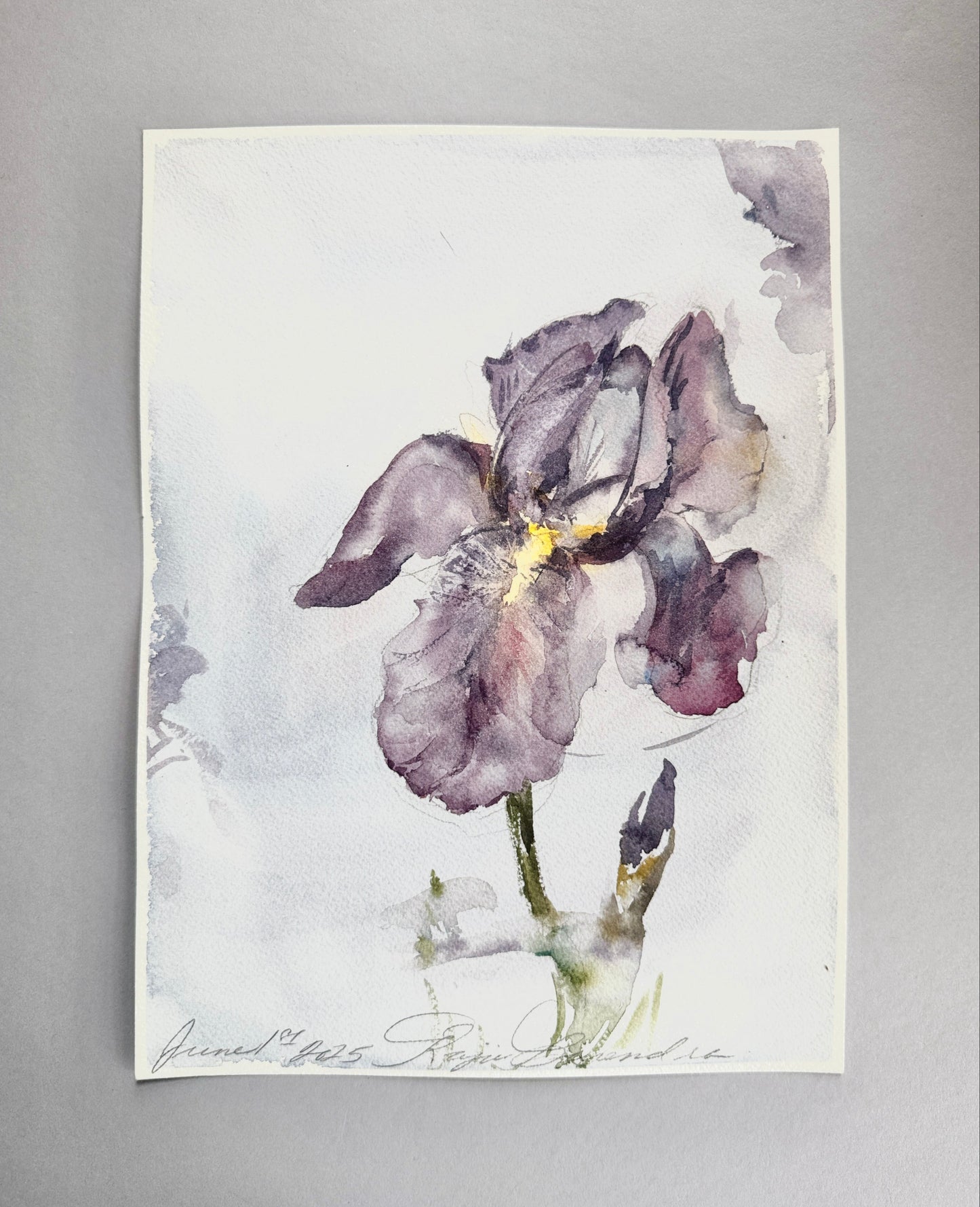 Study of An Iris