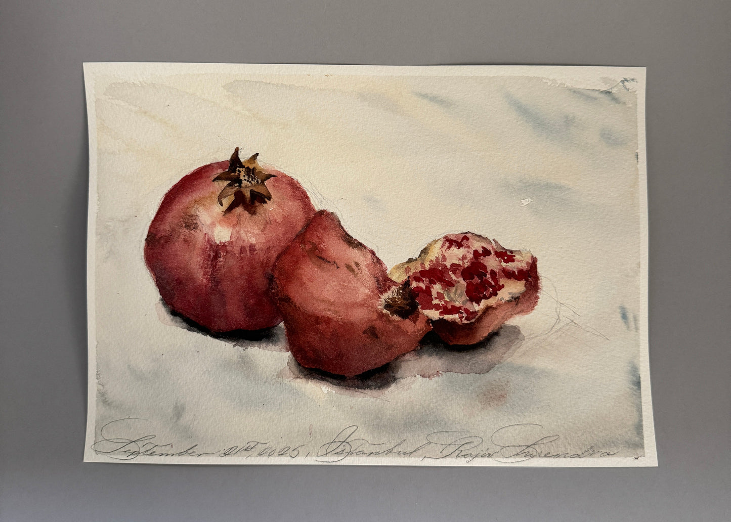 Open Pomegranate Study