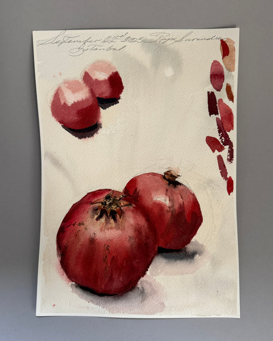 Double Pomegranate Study