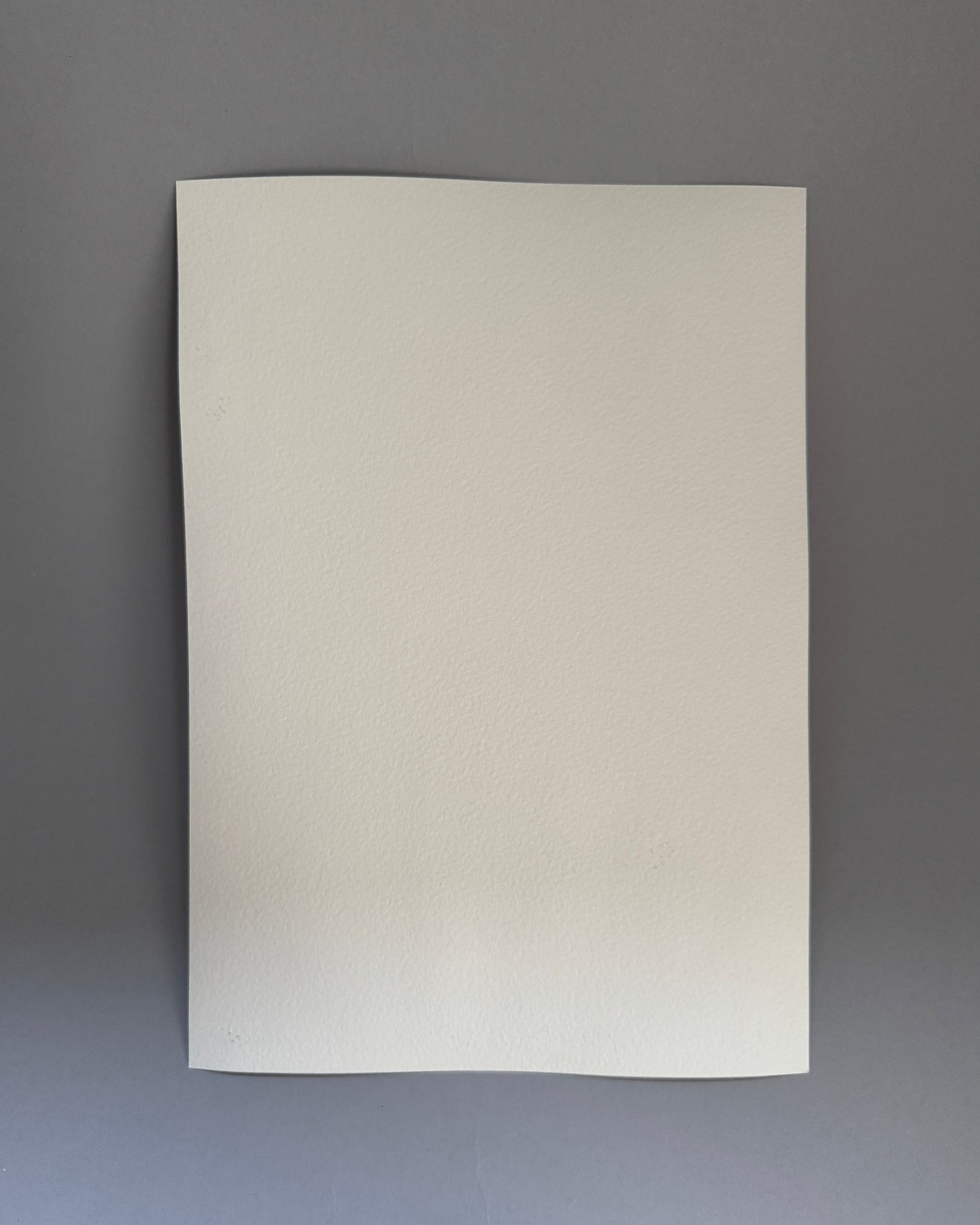 Double Pomegranate Study