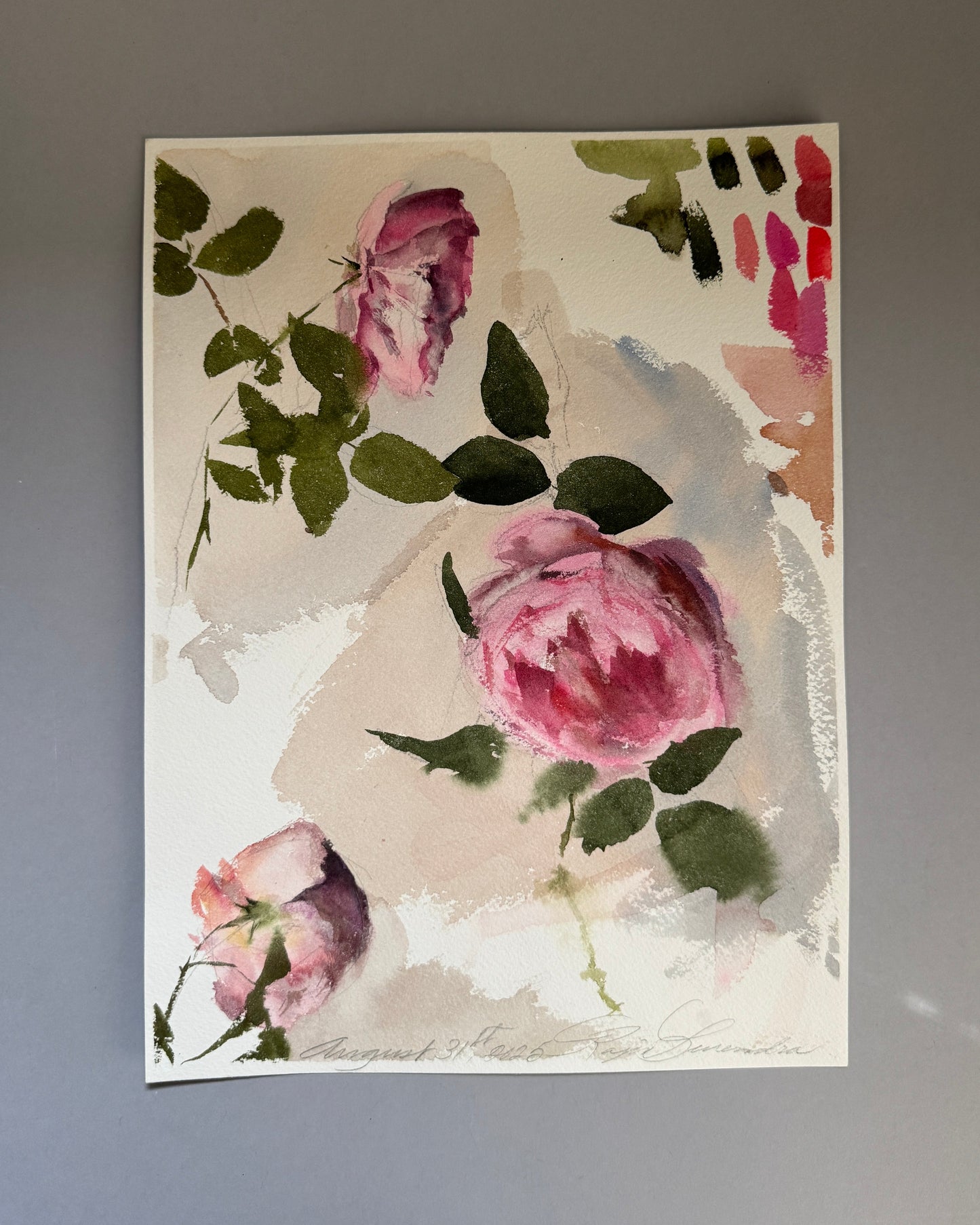 Antique Rose Study