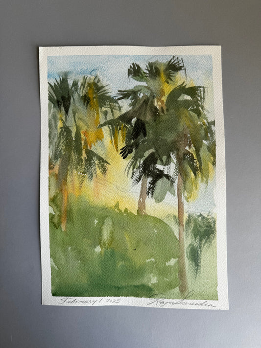 Palm Study