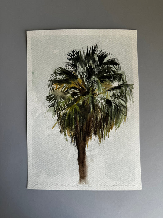 Palm Study