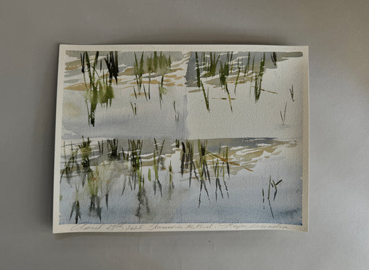 Grasses in a Pond study, Rhode Island