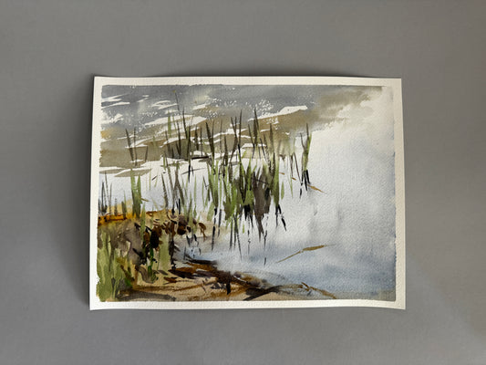 Grasses in a Pond study, Rhode Island