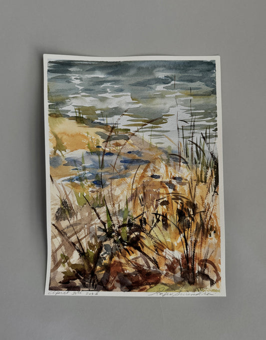 Reeds and grass study, Rhode Island
