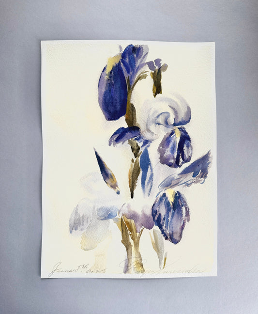 Study of Manet's Irises - no pencil