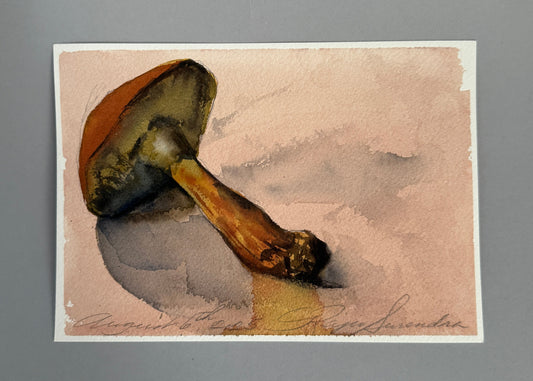Boletus Mushroom Study