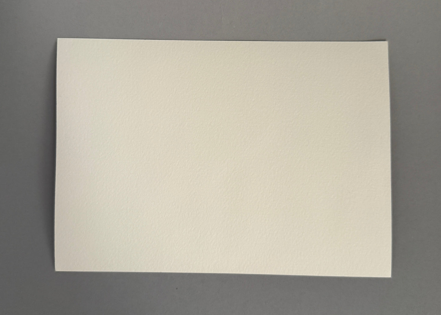 Boletus Mushroom Study