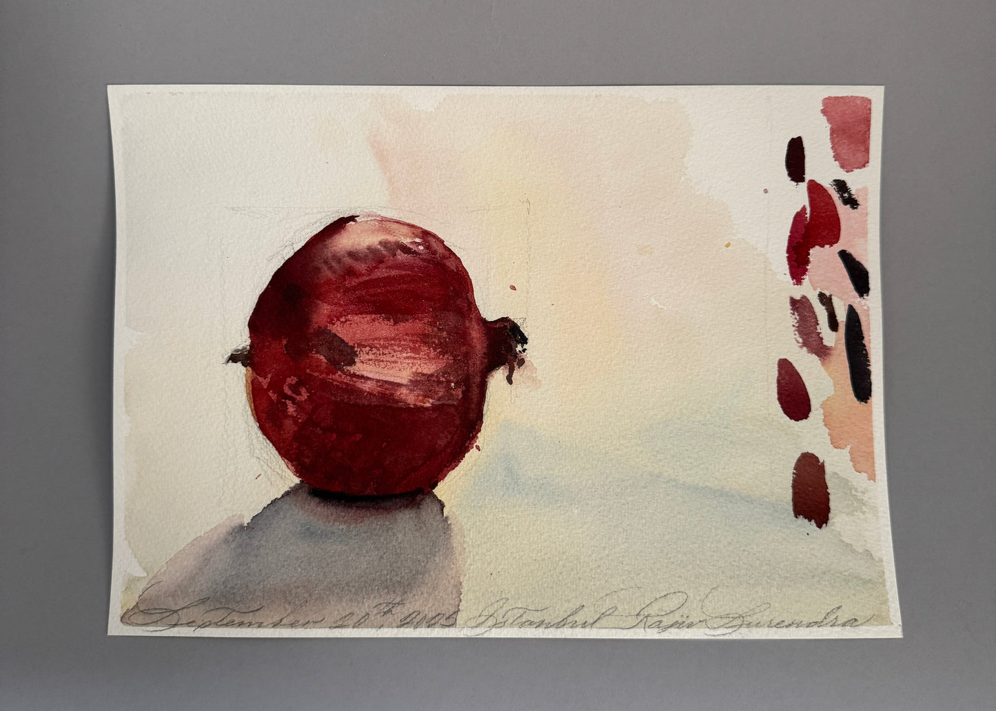 Single Pomegranate Study