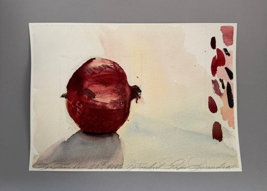 Single Pomegranate Study