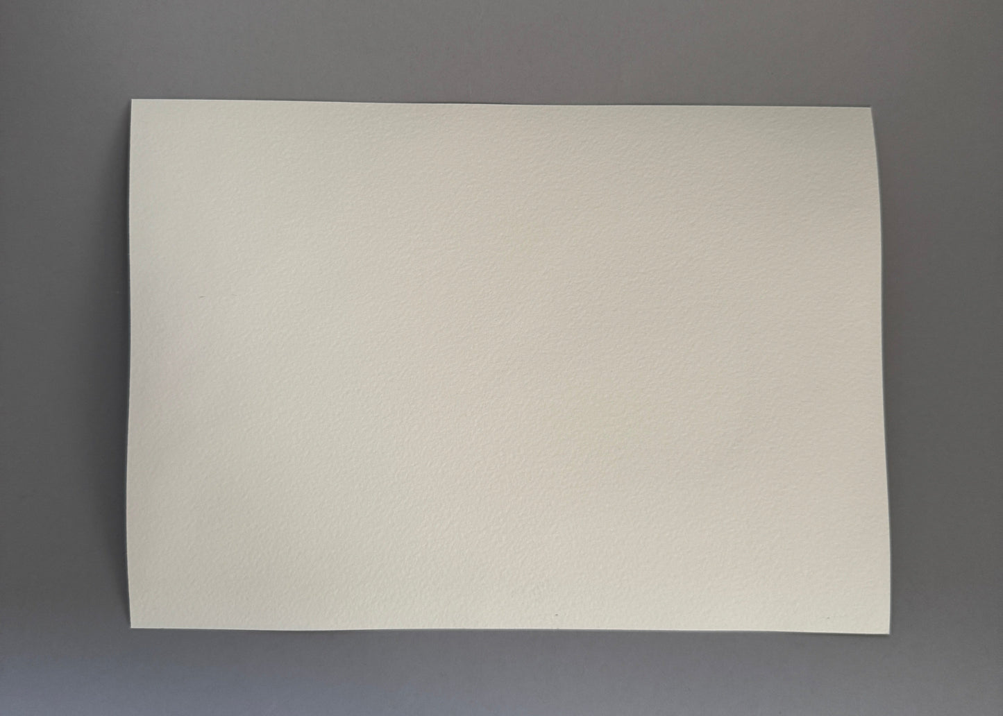 Single Pomegranate Study