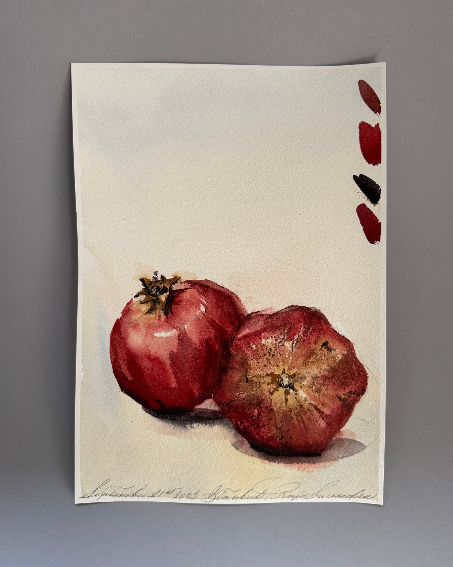 Ripe Pomegranate Study