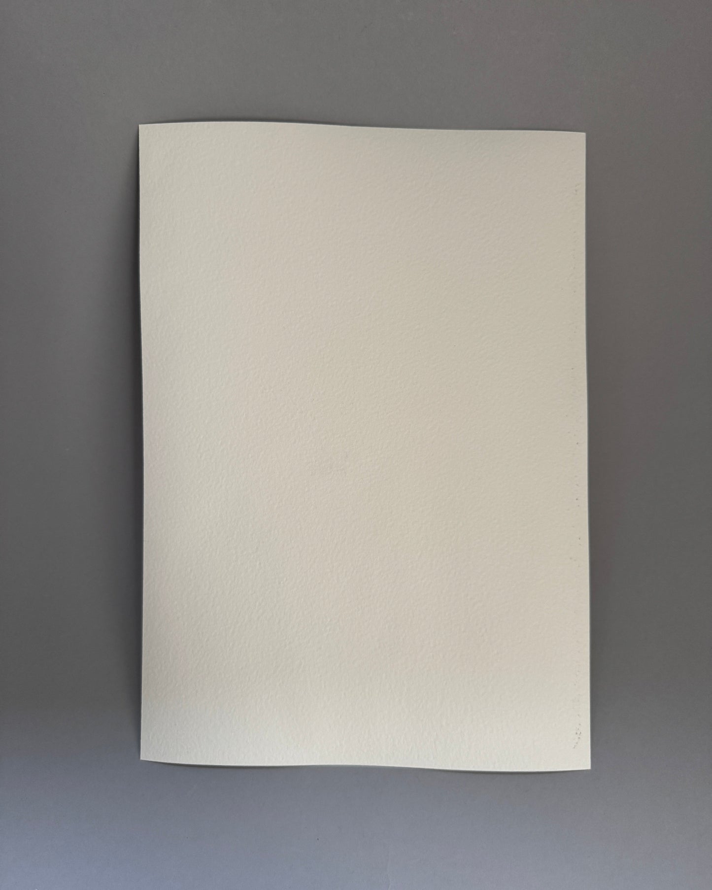 Ripe Pomegranate Study