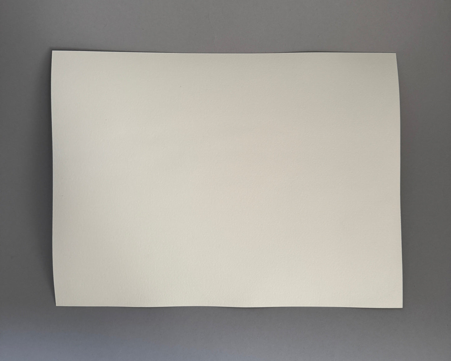 Salt Pond, Rhode Island Study