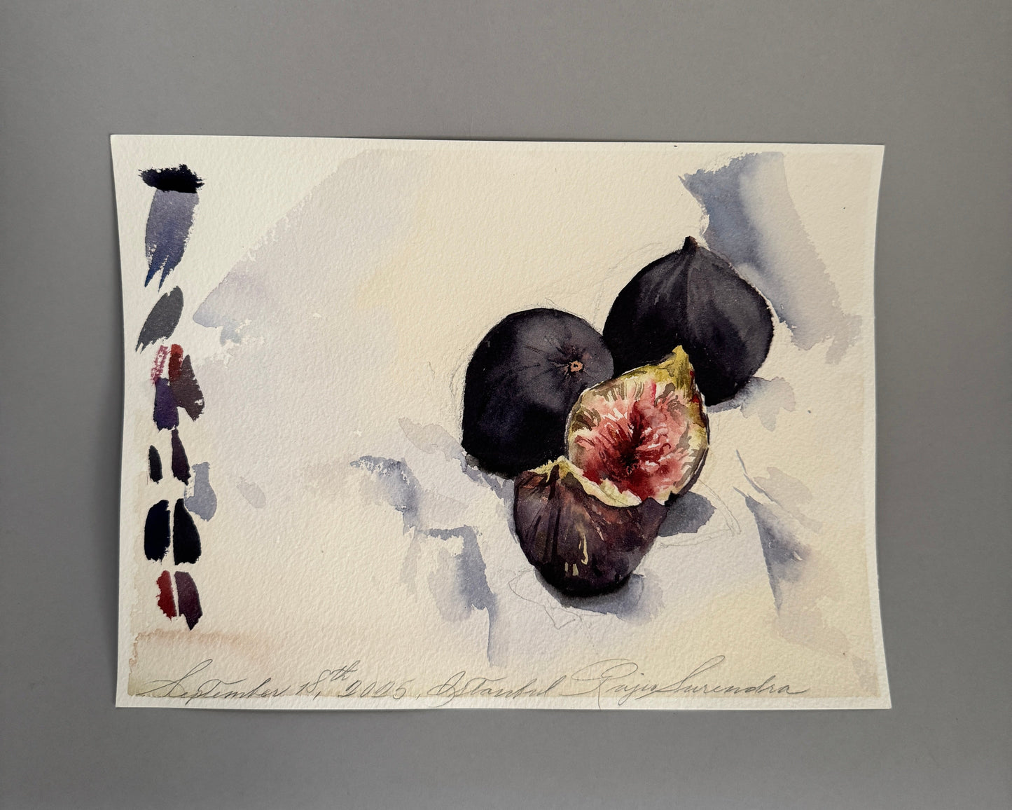 3 Figs Study