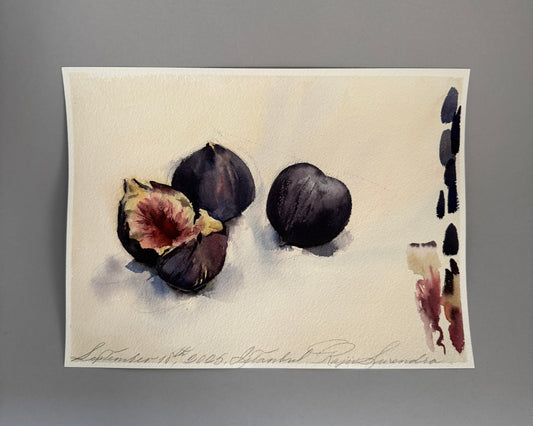 Fig Study