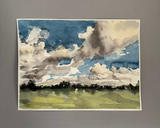 Cloud/Field Study
