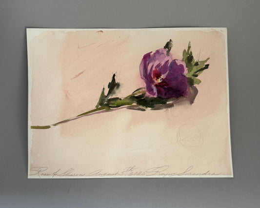 Rose of Sharon Study