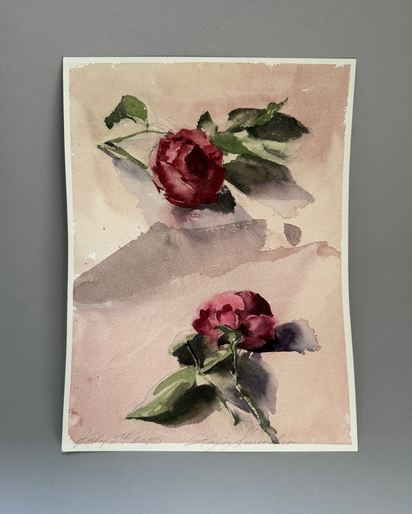Red Roses Study