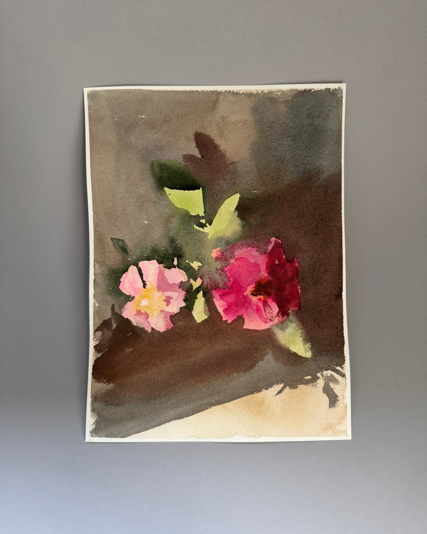 Pink Roses Study